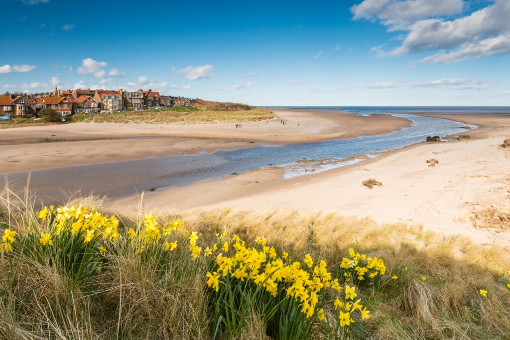 Alnmouth, Northumberland